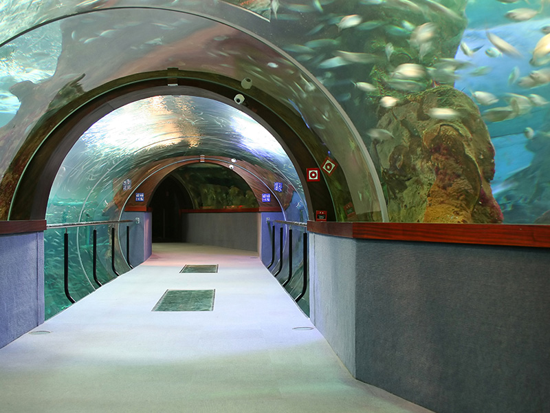 Aquarium san sebastian