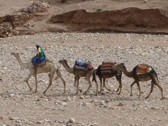 reiseerlebnisse marrakesch