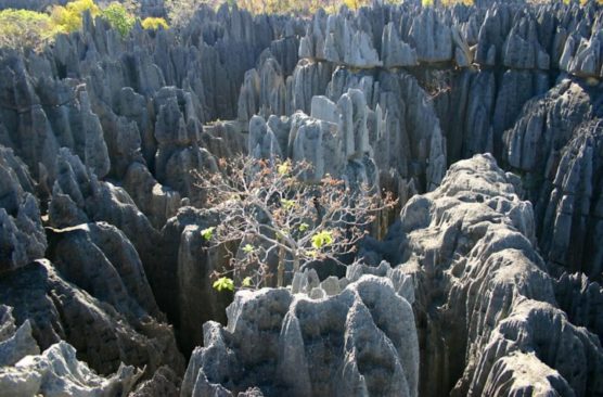 schönsten Orte der Welt tsingy