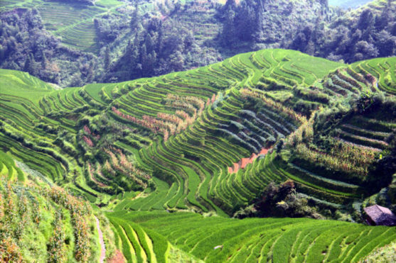 schönsten Orte der Welt longsheng