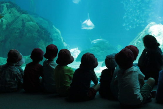 Lissabon-mit-Kindern-Ozeanarium