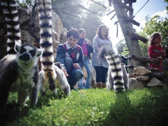 Lissabon-mit-Kindern-Zoo