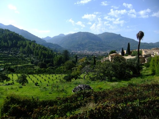 Urlaub-mit-Teenagern-Soller-Tal